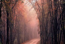 一周十佳进球 上周，各路球星继续用精彩的进球惊艳着世界足坛！.