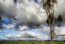 【原创】赛事预测分析：周五014法甲-欧塞尔VS里尔.